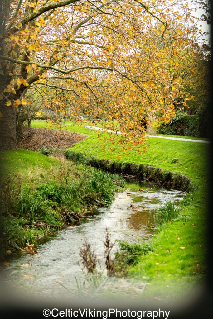 Silk Stream - Montrose Park, London
